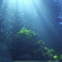 Buceo en Asturias